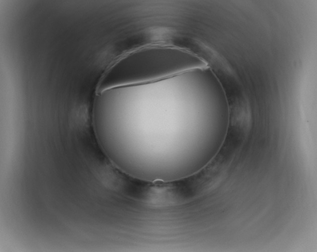 X0000112420560200908141413