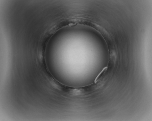 X0000112420566200908141413