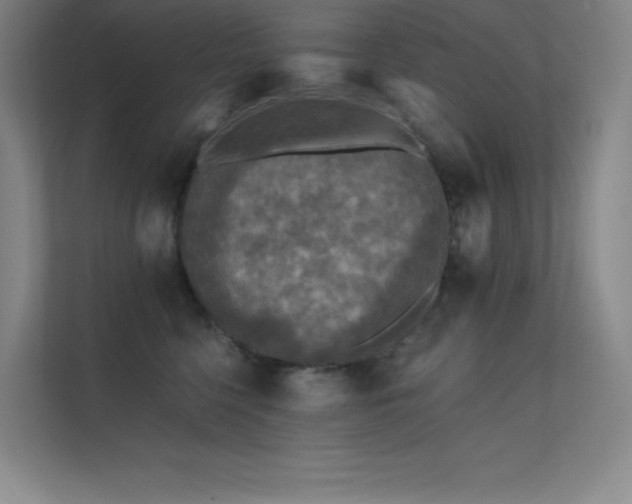 X0000112420568200908141413