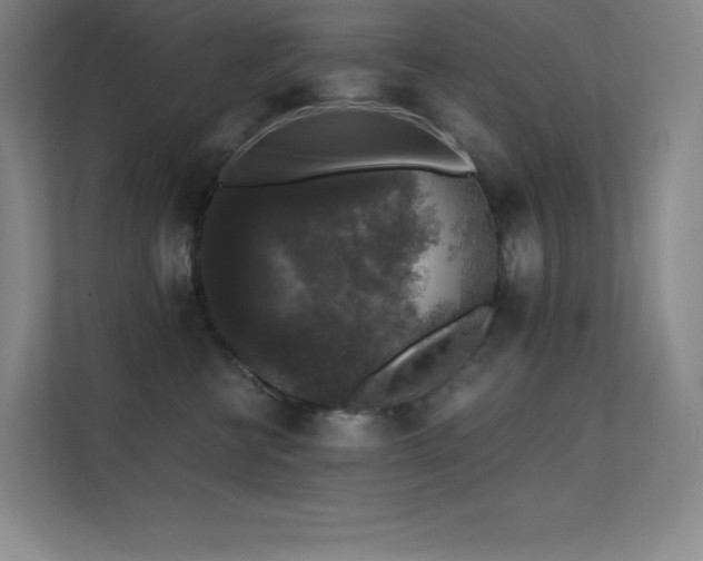 X0000112420570200908141413
