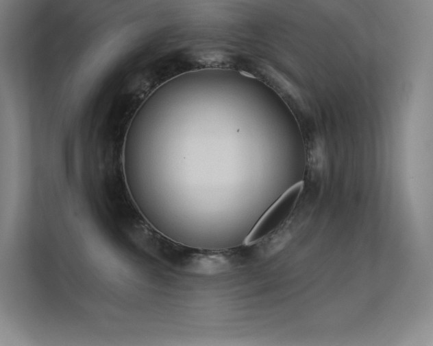 X0000112420572200908141413