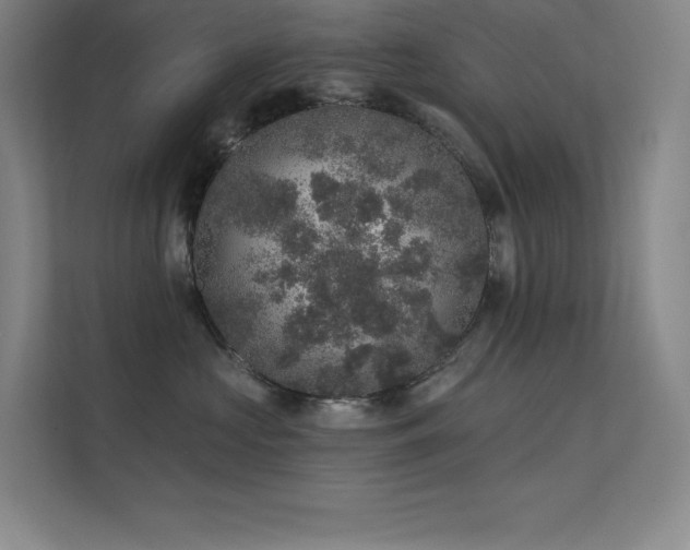 X0000112420573200908141413