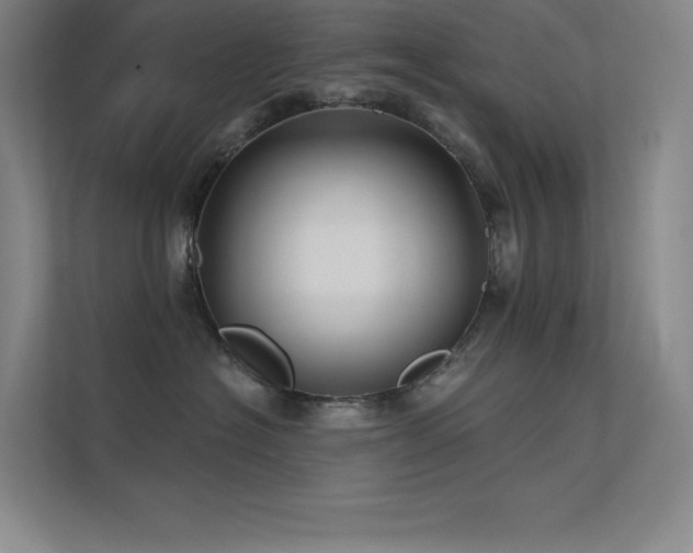 X0000112420574200908141413