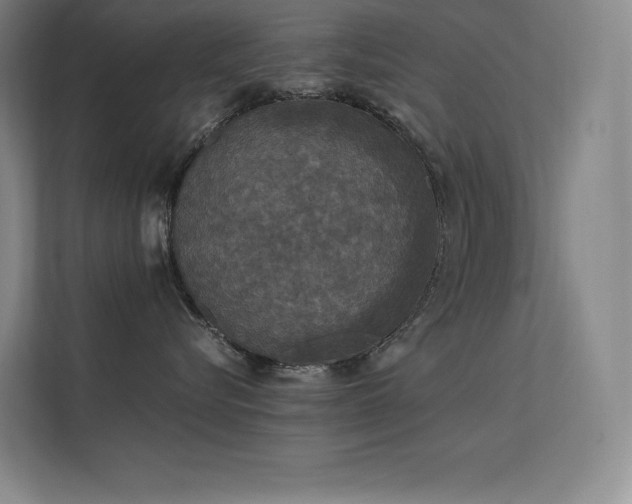 X0000112420576200908141413