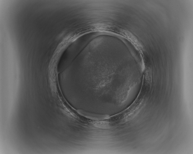 X0000112420577200908141413
