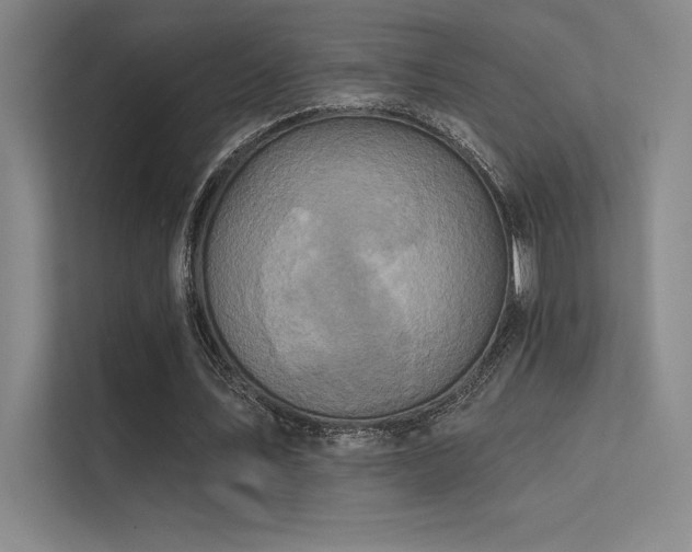 X0000112420579200908141413