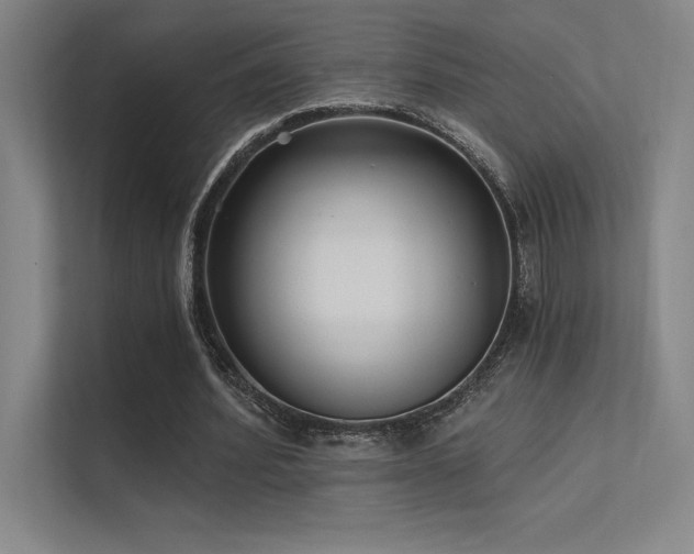 X0000112420580200908141413