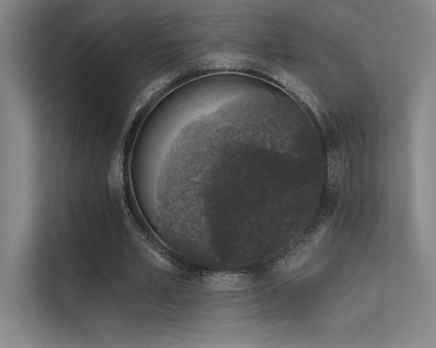 X0000112420581200908141413