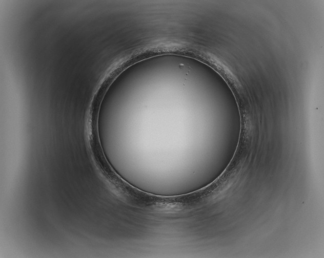 X0000112420582200908141413