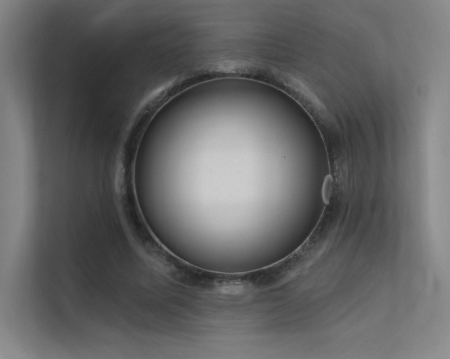 X0000112420587200908141412
