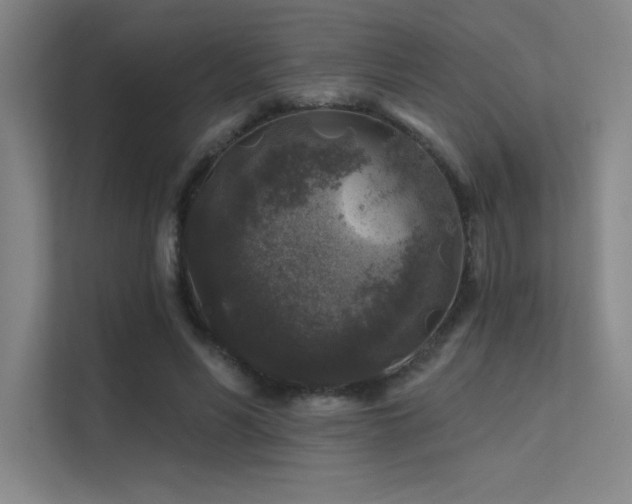 X0000112420590200908141412
