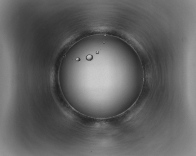 X0000112420591200908141412