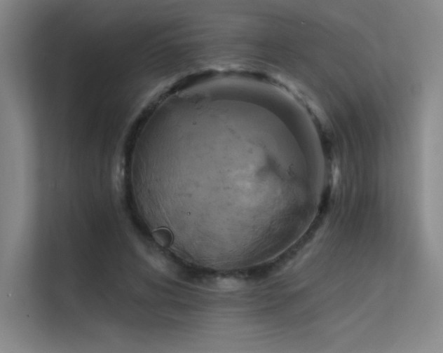 X0000112420592200908141412