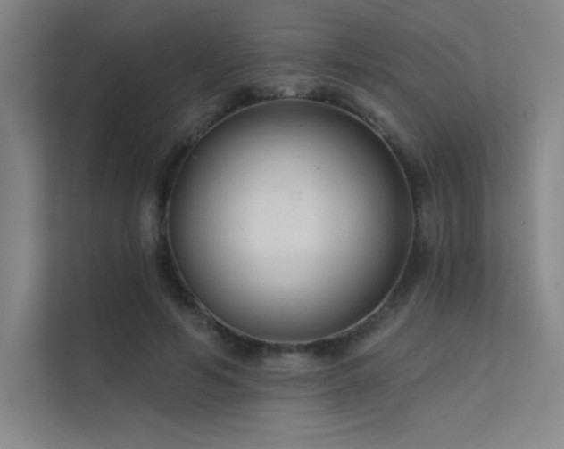 X0000112420594200908141412