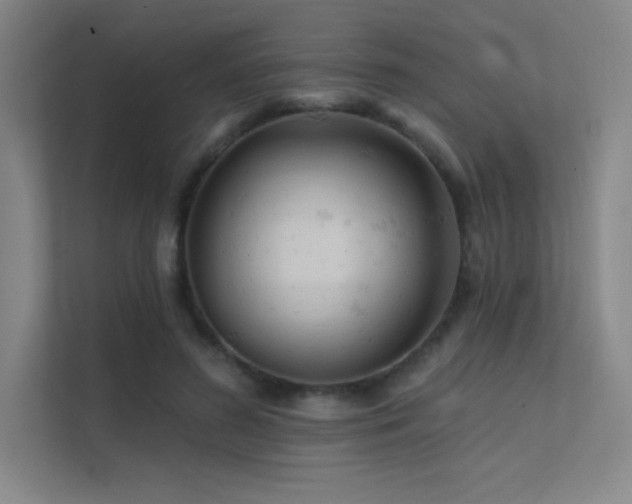 X0000112420596200908141412