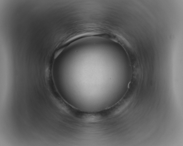 X0000112420597200908141412