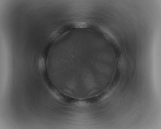 X0000112420598200908141412