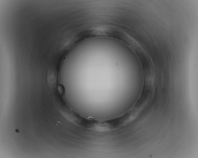 X0000112420603200908141412