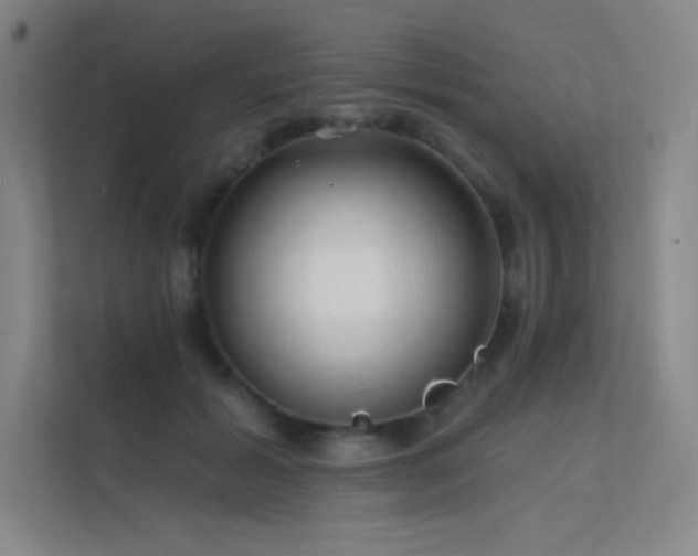 X0000112420605200908141412