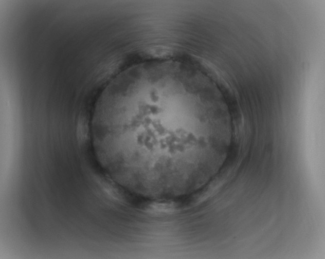 X0000112420606200908141412