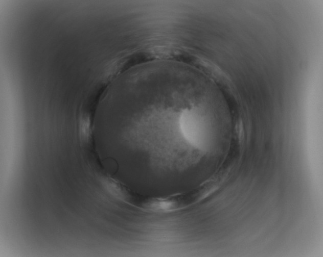 X0000112420610200908141412