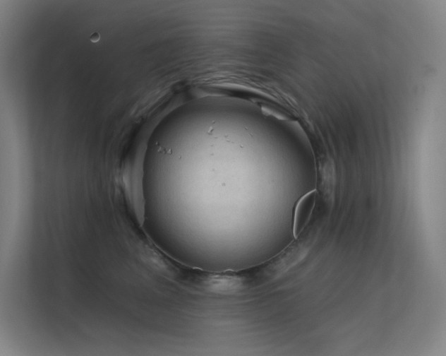X0000112420617200908141412