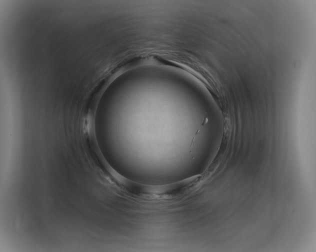 X0000112420621200908141412