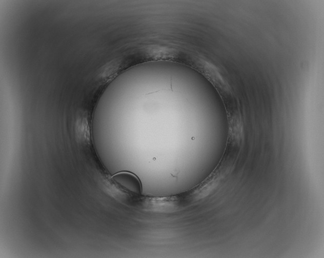X0000112420622200908141412