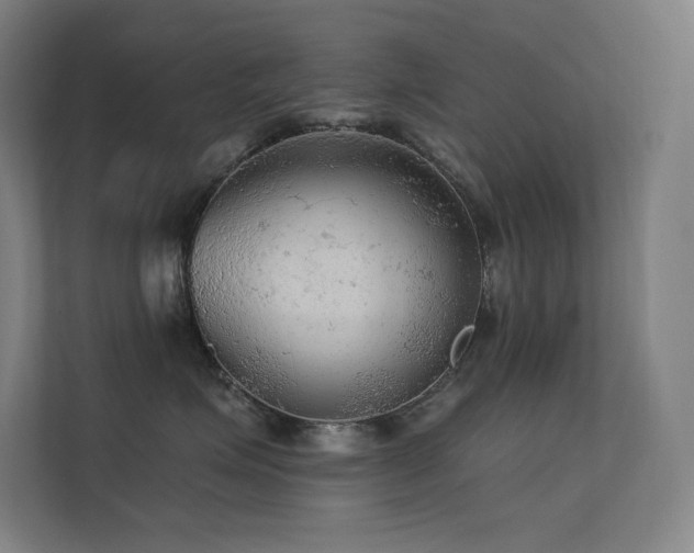 X0000112420623200908141412