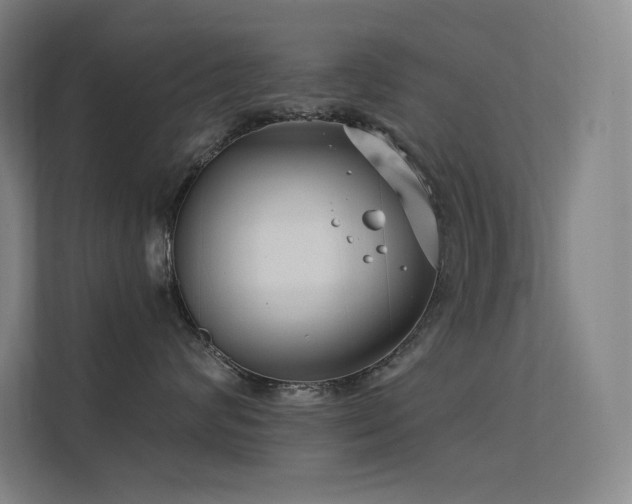 X0000112420624200908141412