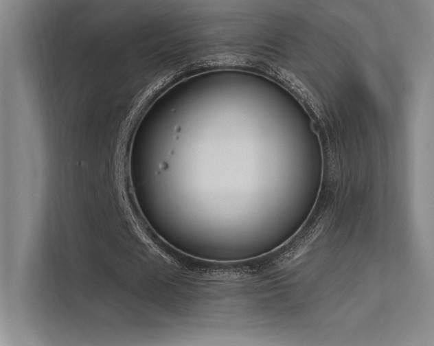X0000112420625200908141411