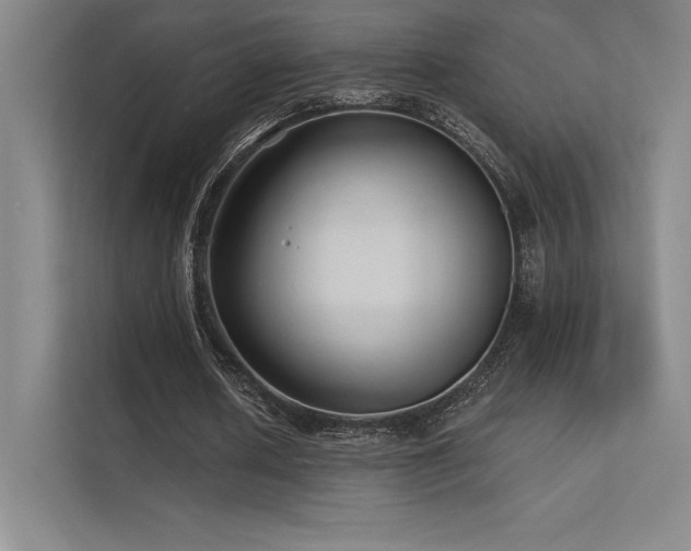 X0000112420626200908141411