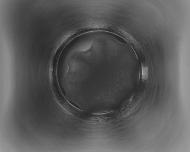 X0000112420627200908141411