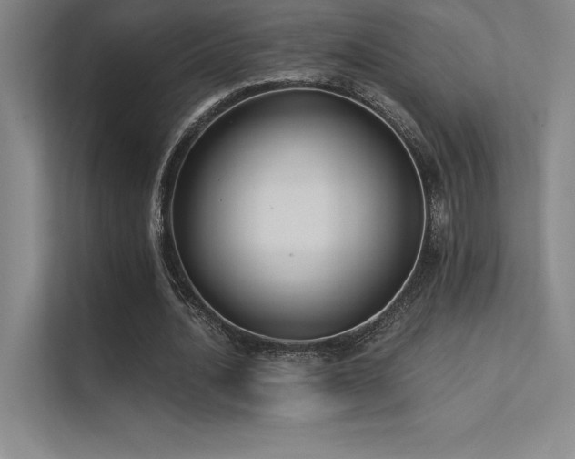 X0000112420628200908141411