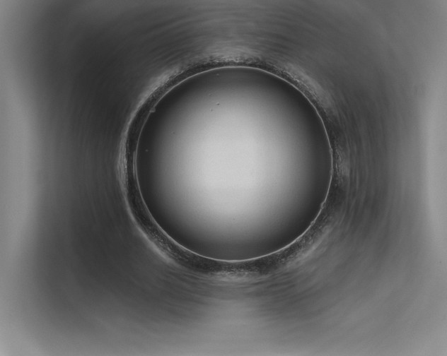 X0000112420630200908141411