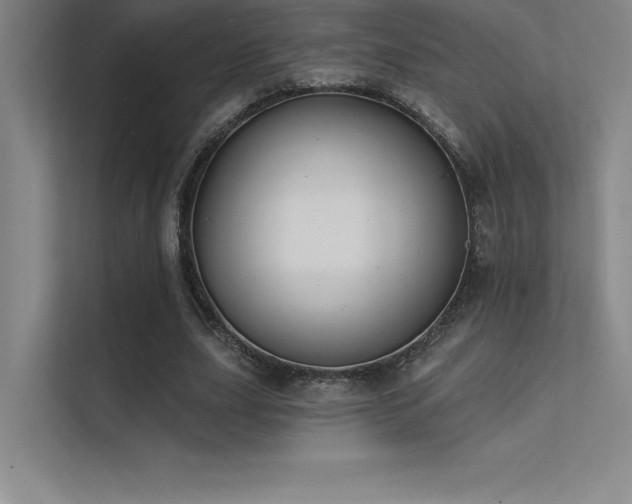 X0000112420631200908141411