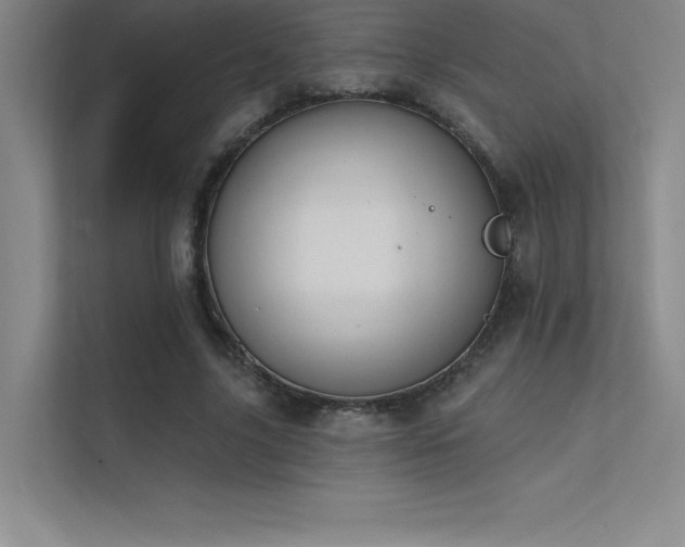 X0000112420635200908141411