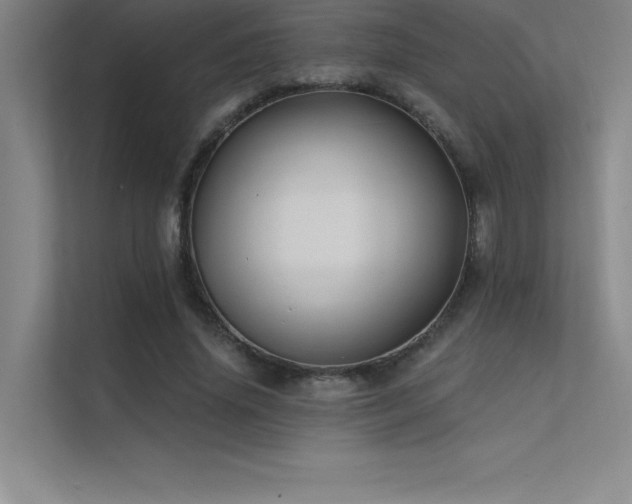 X0000112420636200908141411