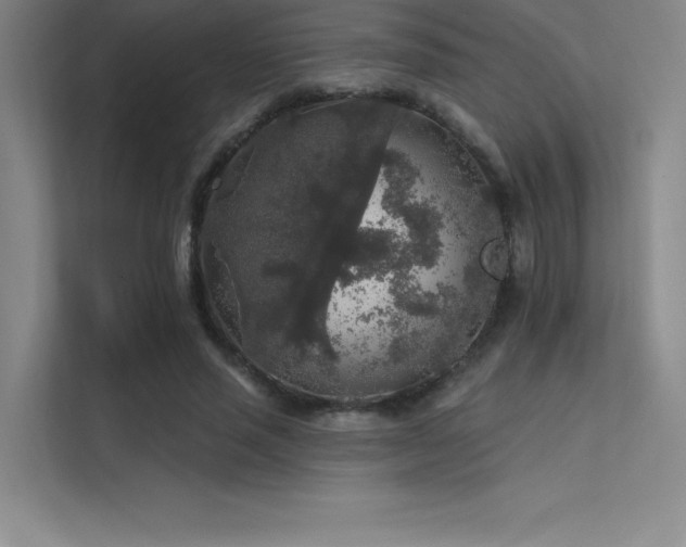 X0000112420637200908141411