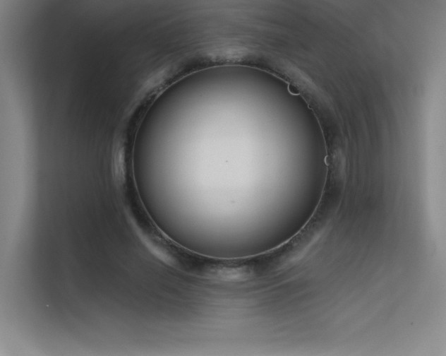 X0000112420638200908141412