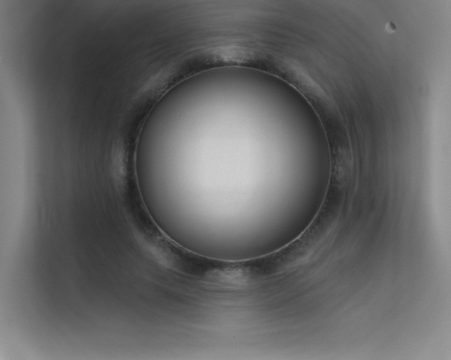 X0000112420639200908141412