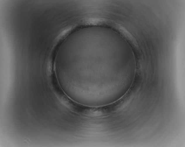 X0000112420640200908141412