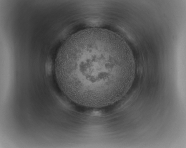 X0000112420647200908141412