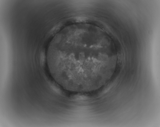 X0000112420648200908141412