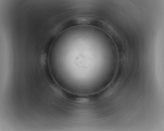 X0000112420649200908141412