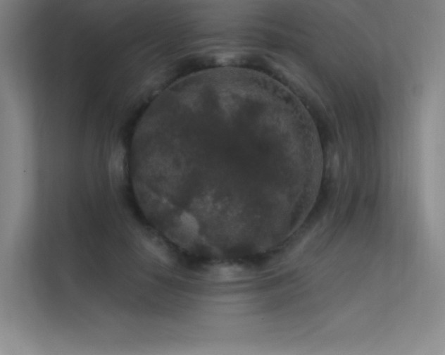 X0000112420650200908141412