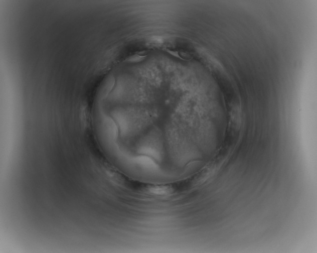 X0000112420659200908141412