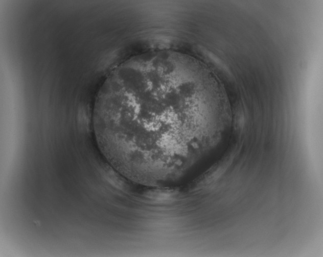 X0000112420661200908141412
