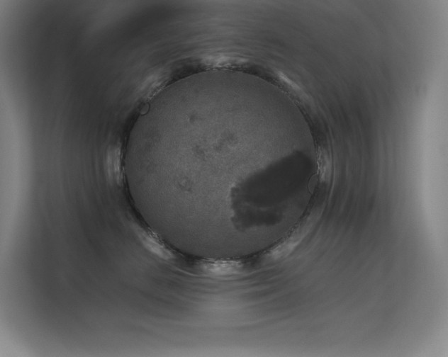 X0000112420670200908141412