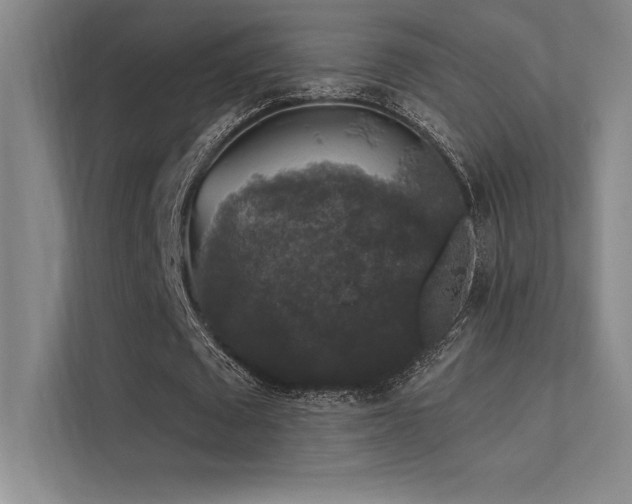 X0000112420673200908141411